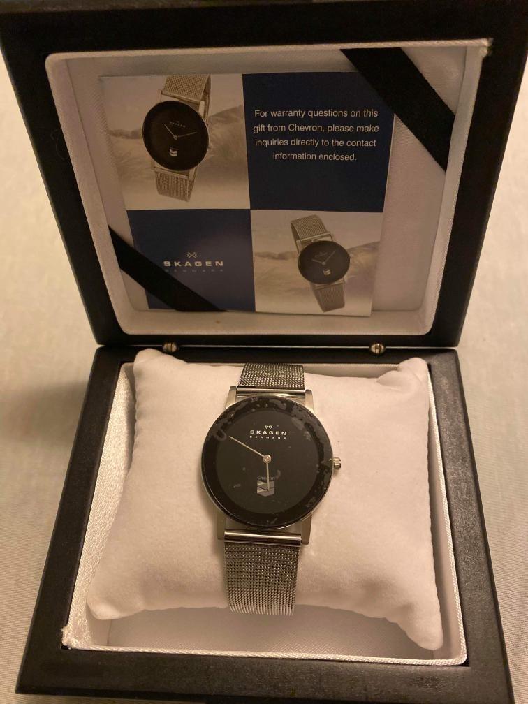 Skagen chevron watch online