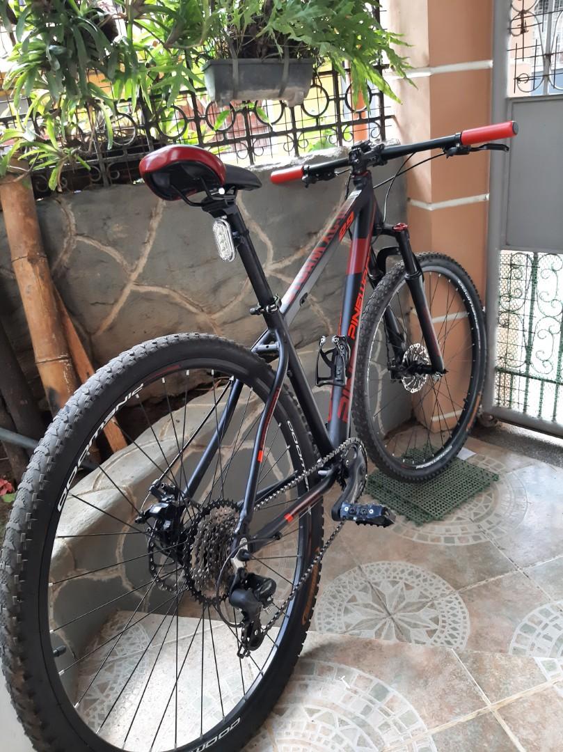 pinewood bike 29er