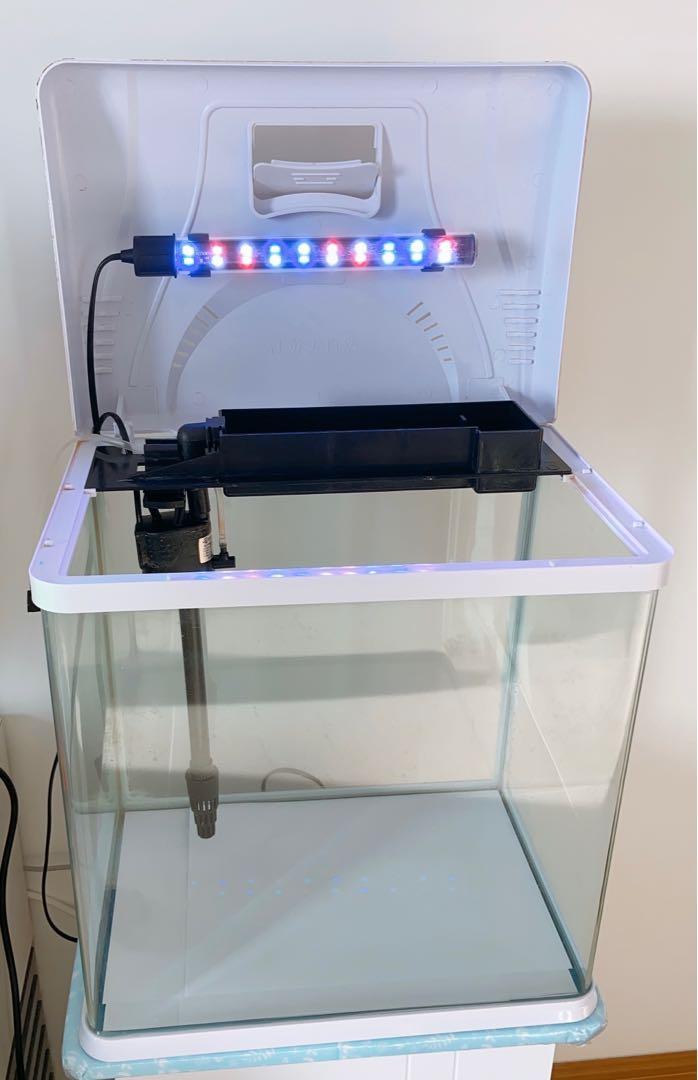 Self Cleaning Fish Tanks, Pet Supplies, Homes & Other Pet Accessories