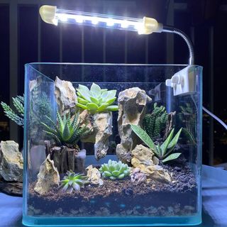 (Category: ) located in . Submitted by harithnasri (Listing ID 1066643300, Image 1). Description: .