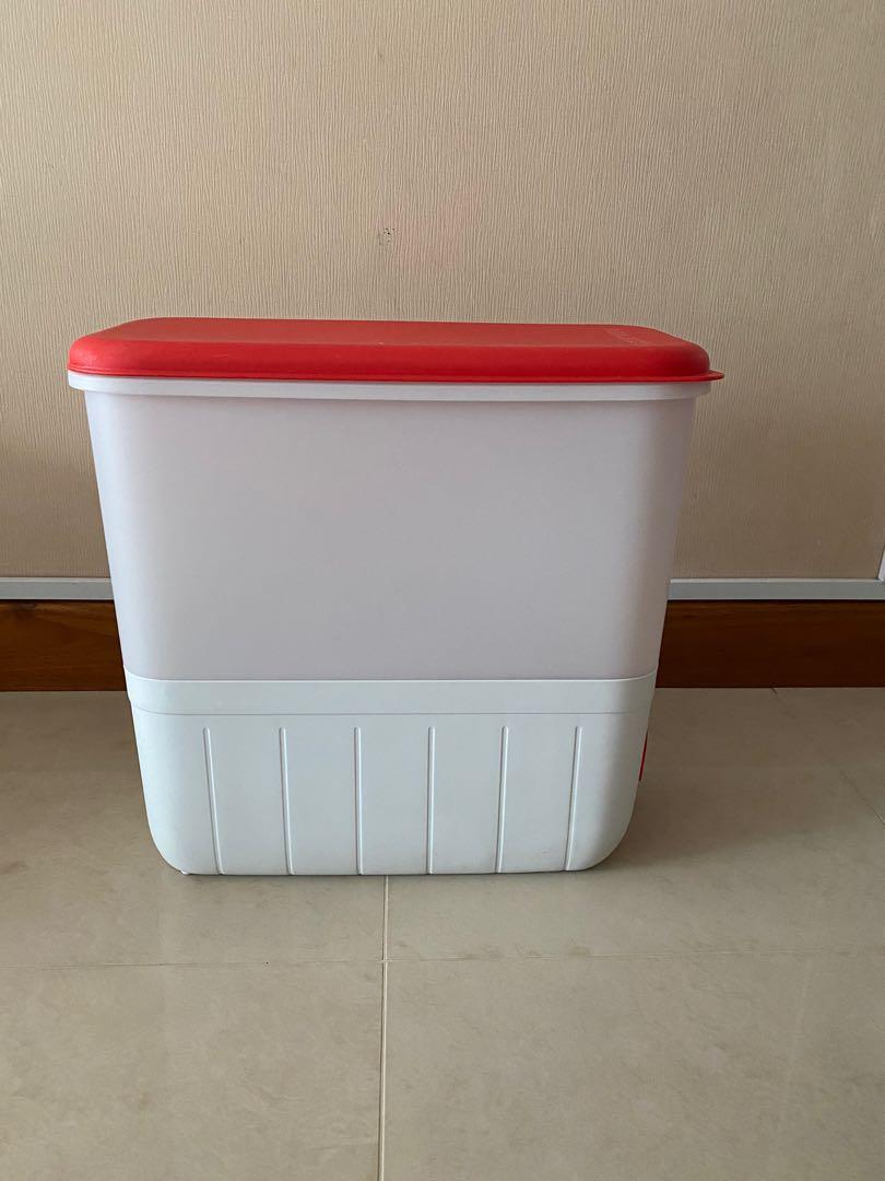 Tupperware rice bucket, TV & Home Appliances, Kitchen Appliances ...