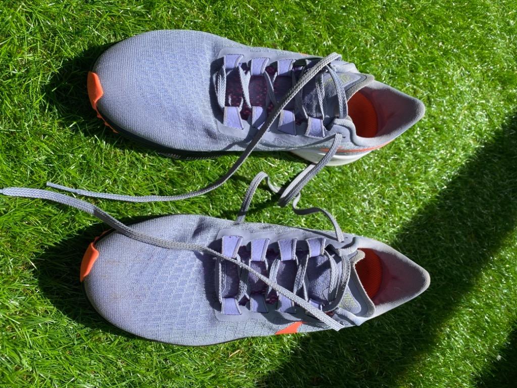 nike zoom pegasus 40