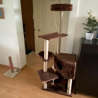 (Category: ) located in . Submitted by serenaaaaat (Listing ID 1060502672, Image 1). Description: .
