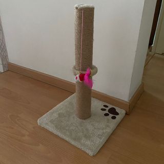 (Category: ) located in . Submitted by serenaaaaat (Listing ID 1060504198, Image 1). Description: .