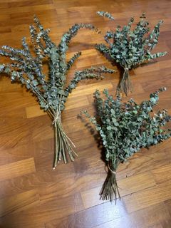 (Category: ) located in . Submitted by lilflowerroom (Listing ID 1060539866, Image 1). Description: .