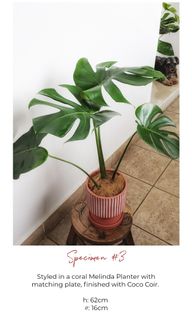 (Category: ) located in . Submitted by leafalifeco (Listing ID 1060532765, Image 1). Description: .