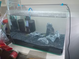 (Category: ) located in . Submitted by anakinroy (Listing ID 1060611940, Image 1). Description: .