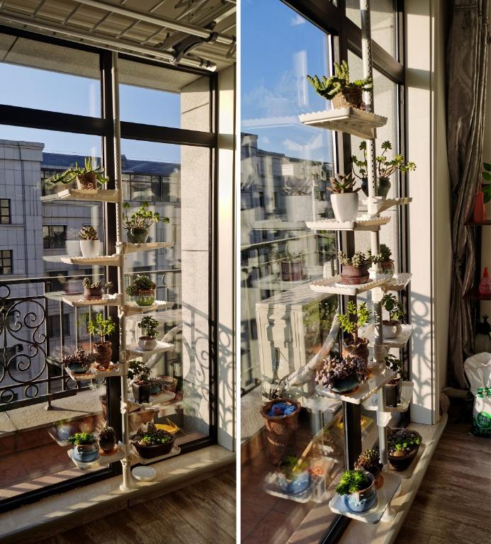 Planter Plant Rack Narrow plant Shelf Easy Install, Gardening, Pots ...