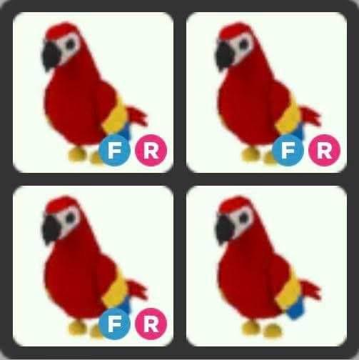 Parrot, Trade Roblox Adopt Me Items