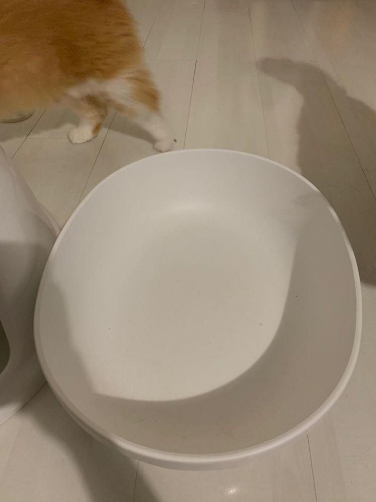 Standard size litter box, Pet Supplies, Homes & Other Pet Accessories