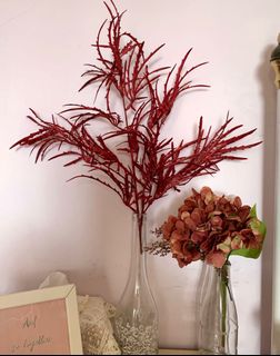(Category: ) located in . Submitted by wildthing.flowers (Listing ID 1060752312, Image 1). Description: .