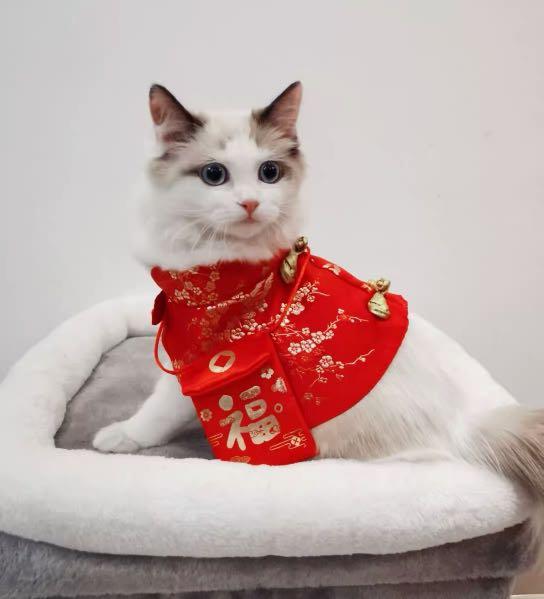 Dog cat pet Chinese New Year costume party clothes Pet Supplies