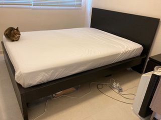 （分類：）位於 。 由 dtseng01 提交（商品編號 1060737670，圖片 1）。簡介： 。