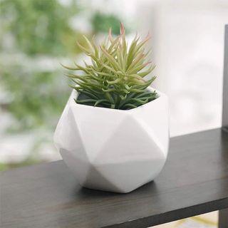 Lucullus Garden Ceramic Glass flower pot  white  10x7cm
