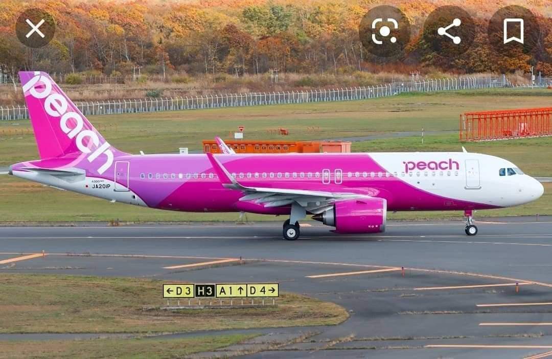 Peach A320 1:400 Diecast 日本樂桃航空A320 1/400 飛機模型, 興趣及 