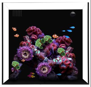 (Category: ) located in . Submitted by aquamaniacs (Listing ID 1060807326, Image 1). Description: .