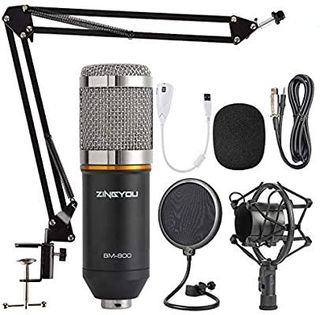 Microphones (Condenser, portable etc.) Collection item 2