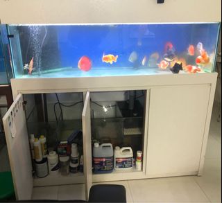 (Category: ) located in . Submitted by sunflower_blooms (Listing ID 1060919120, Image 1). Description: .