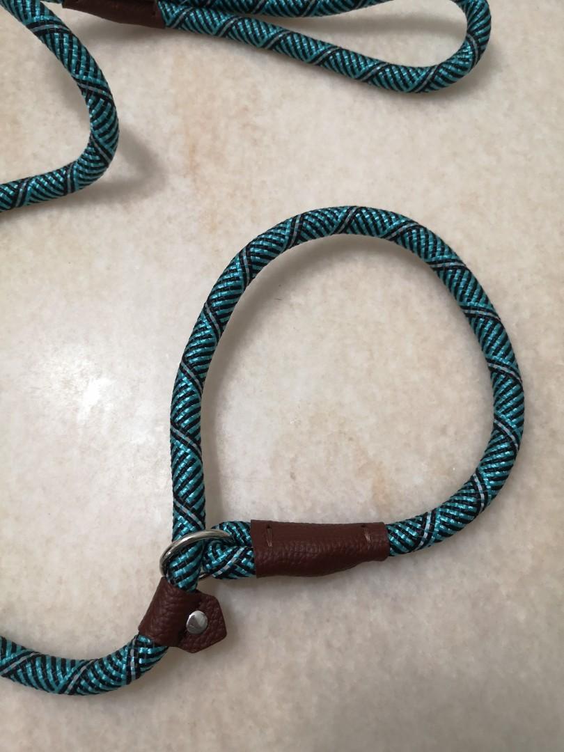 Friends forever leash shop