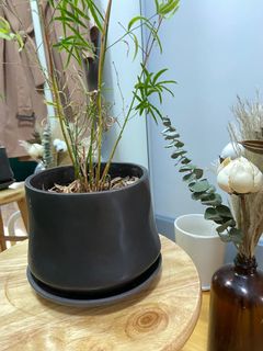 （分類：）位於 。 由 deardesiree 提交（商品編號 1060969111，圖片 1）。簡介： 。