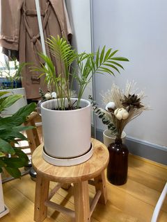 （分類：）位於 。 由 deardesiree 提交（商品編號 1060968251，圖片 1）。簡介： 。