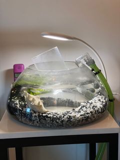 (Category: ) located in . Submitted by archproductions (Listing ID 1060959727, Image 1). Description: .