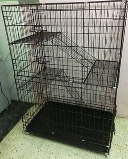 (Category: ) located in . Submitted by catworldz (Listing ID 1061066996, Image 1). Description: .