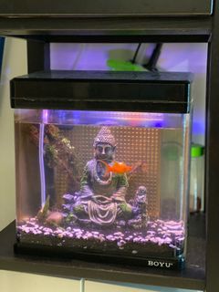 (Category: ) located in . Submitted by archproductions (Listing ID 1060960331, Image 1). Description: .