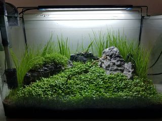 (Category: ) located in . Submitted by quality.assured.online (Listing ID 1061074663, Image 1). Description: .