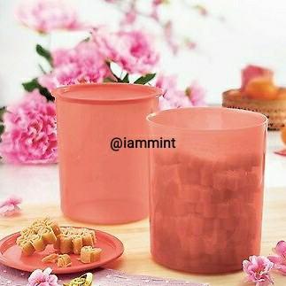 NEW Tupperware One Touch Topper Canister Set in SHades of Pink