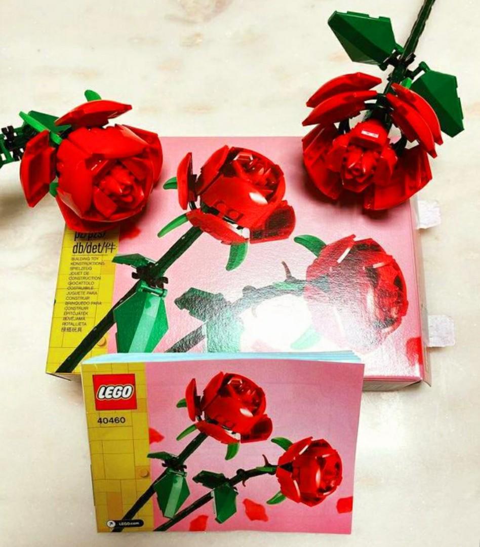 全新未開盒lego Roses 玫瑰花botanical Collection 系列 興趣及遊戲 旅行 旅遊 旅行必需品及用品 Carousell