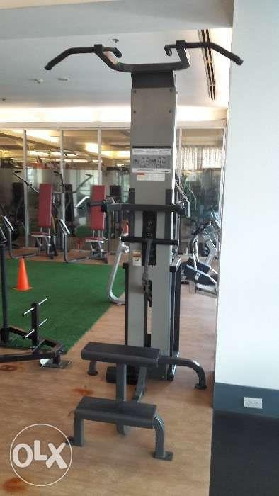 Cybex assisted chin up dip machine outlet