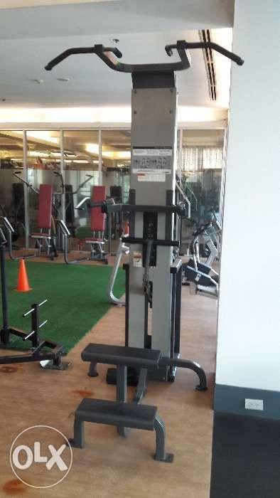 Cybex chin shop dip assist machine