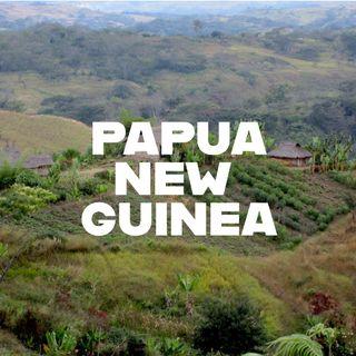 Papua New Guinea Sigri Peaberry Freshly Roasted Arabica Coffee Beans