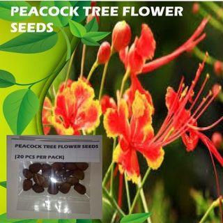 Flower Seeds View All Flower Seeds Ads In Carousell Philippines