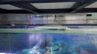 (Category: ) located in . Submitted by siangck (Listing ID 1061453176, Image 1). Description: .