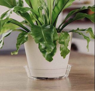 (Category: ) located in . Submitted by need2declutter (Listing ID 1061366036, Image 1). Description: .