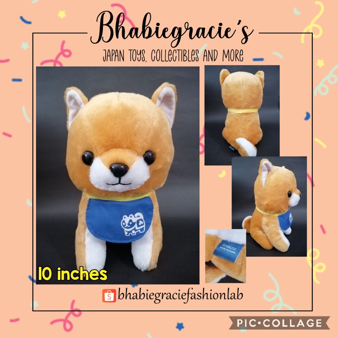 Amuse shiba deals