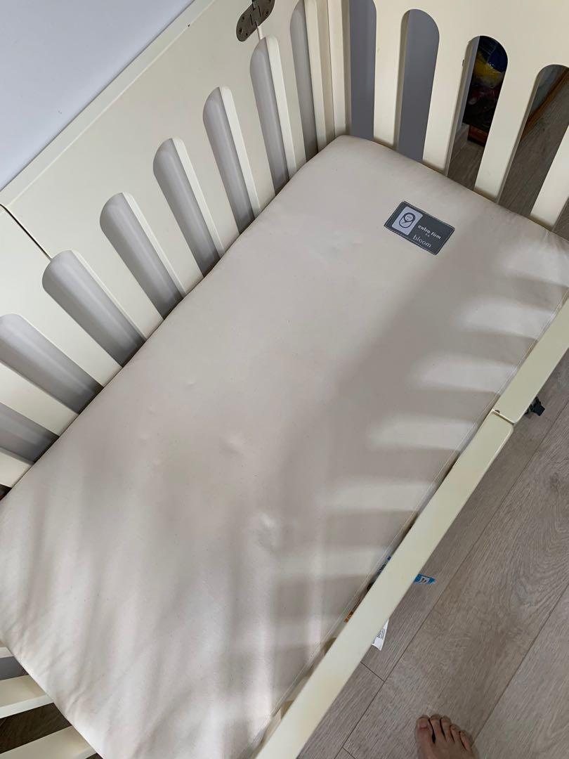 Bloom Alma Mini Crib (free baby cot), Babies & Kids, Baby Nursery