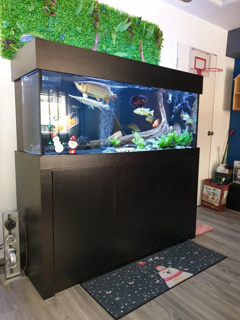 Fish tank for sale 5 feet., Pet Supplies, Homes & Other Pet Accessories