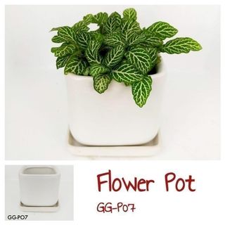 Clearance Pastel Fantasy Design Medical Stone Pot Small Cacti Succulent R04 Gardening Pots Planters On Carousell