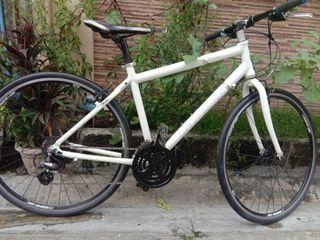 giant bikes for sale