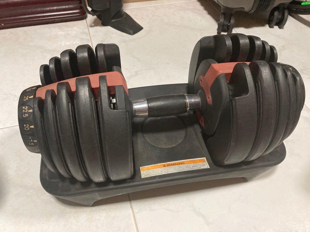 Imitation bowflex weights dumbbell Sports Equipment Exercise Fitness Weights Dumbbells on Carousell