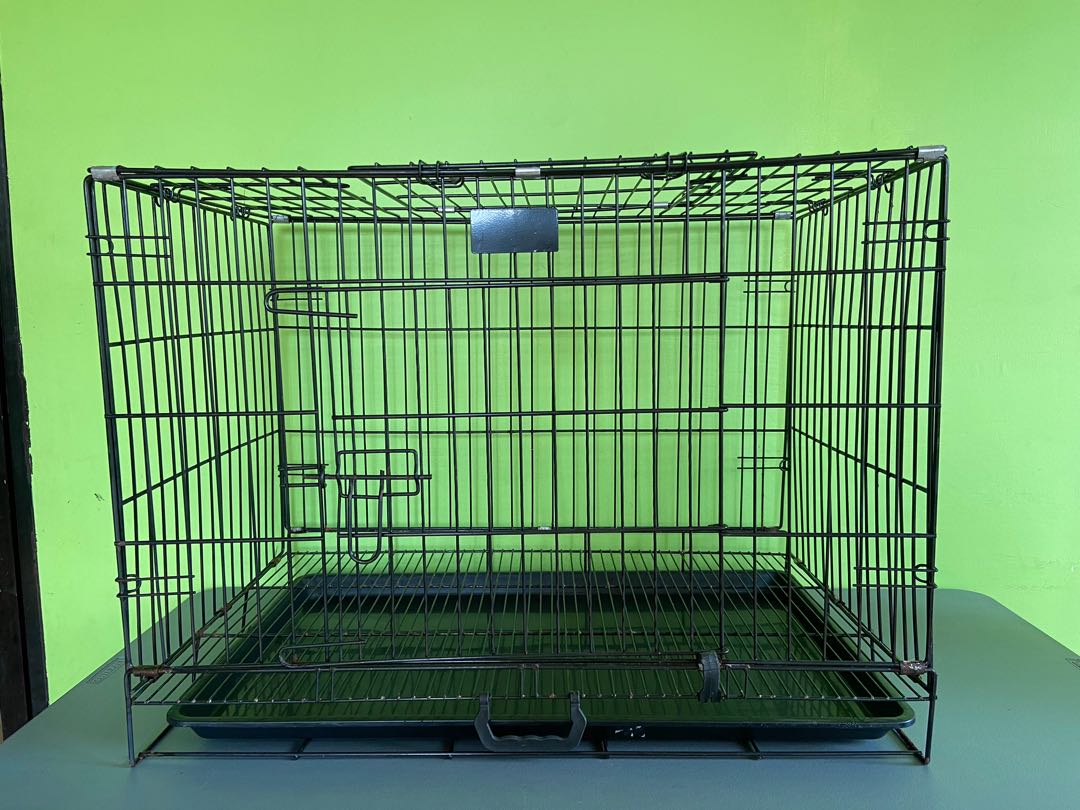 Large Collapsible Dog Cage, Pet Supplies, Homes & Other Pet Accessories