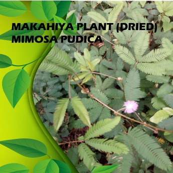 citations de makahiya