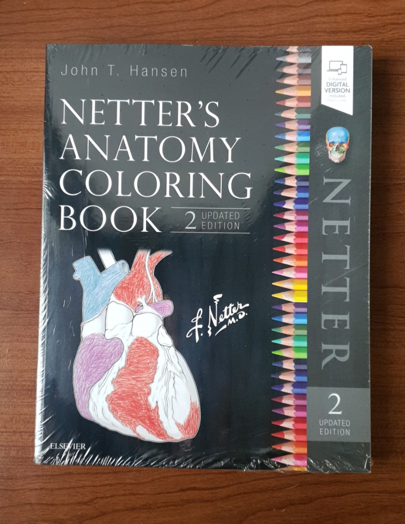 Netter's Anatomy Coloring Book, Hobbies & Toys, Books & Magazines