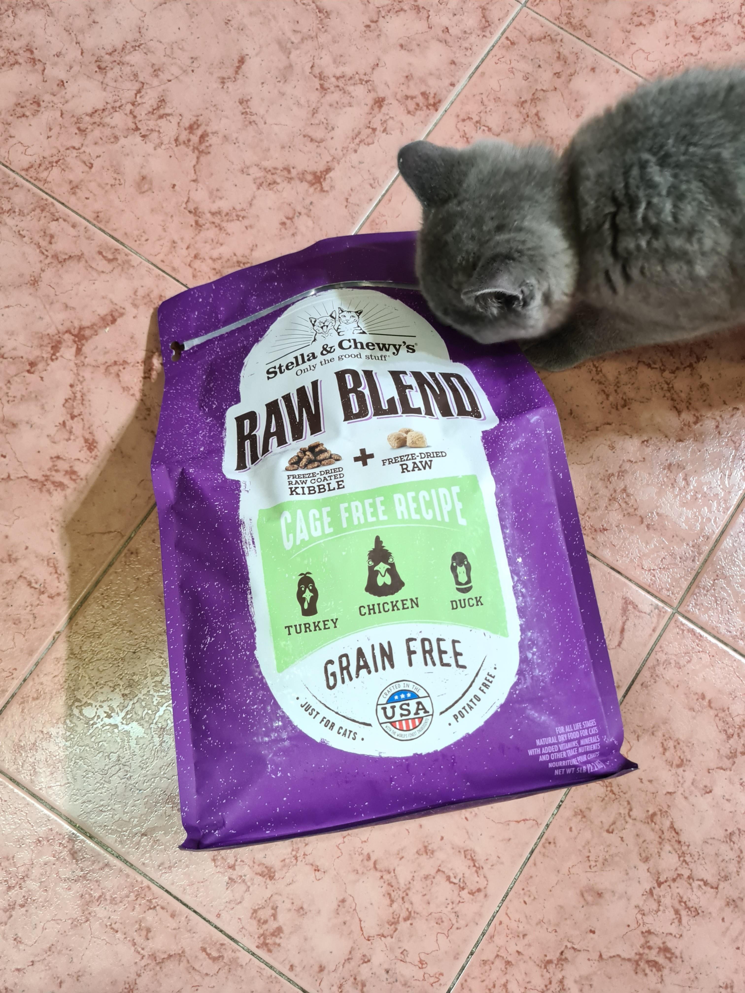 chewy cat food dry