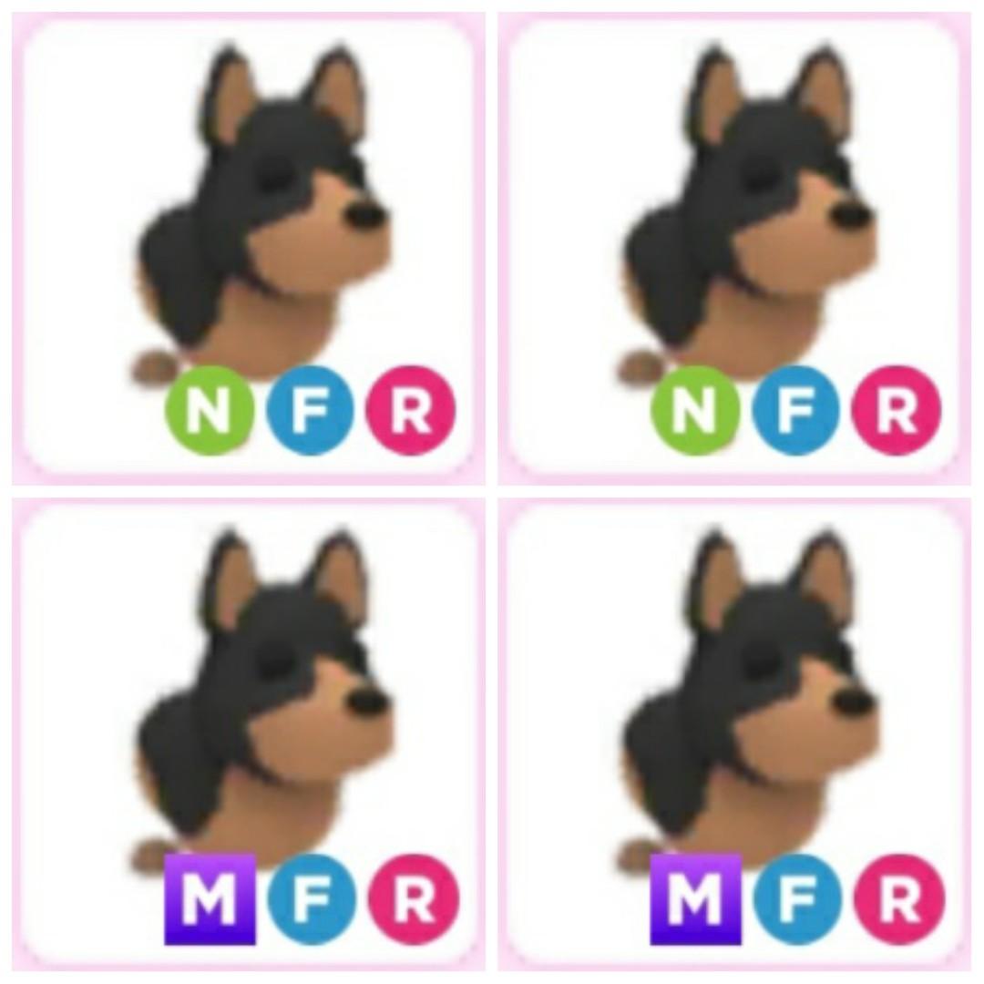 What Does A Neon Australian Kelpie Look Like In Adopt Me