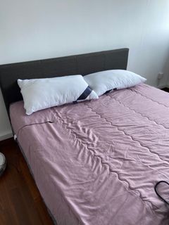 (Category: ) located in . Submitted by ginny7 (Listing ID 1061516964, Image 1). Description: .