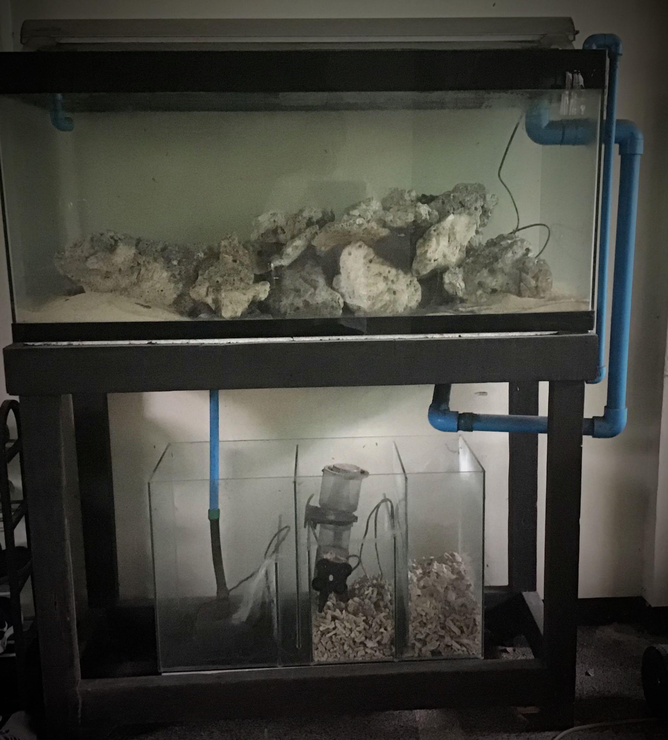 Saltwater aquarium full set-up with solid wood stand (Category: Homes & Other Pet Accessories) located in Quezon City. Submitted by dopetown (Listing ID 1061552383, Image 1). Description: .